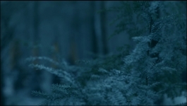 Vikings - Season 06 Episode 11